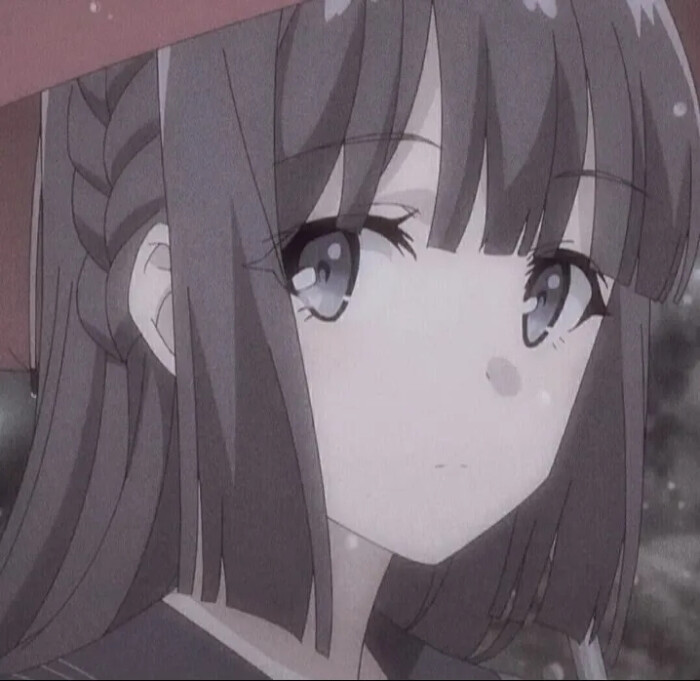 /public/uploads/4b6706c73dbb4d761350d44e/2025/06/11/b4ea90d8d4533acb66705515.jpg