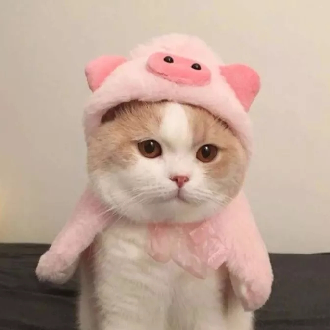 /public/uploads/4b6706c73dbb4d761350d44e/2025/06/12/7c5f6cf34bd24a960beecb7d.jpg
