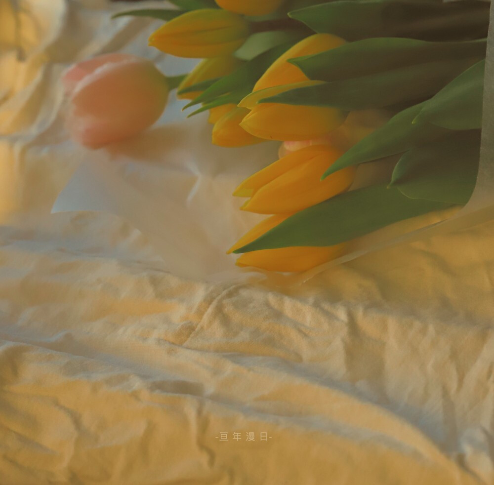 /public/uploads/4b6706c73dbb4d761350d44e/2025/06/15/d5ec4e5dc4e77f816c2332c0.jpeg