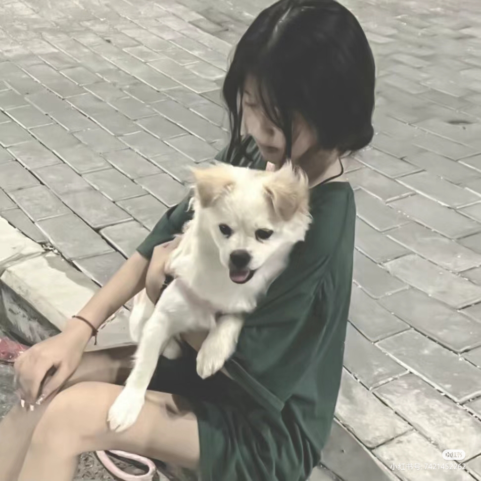 /public/uploads/4b6706c73dbb4d761350d44e/2025/06/16/612f7a821df6831b5af91421.jpg