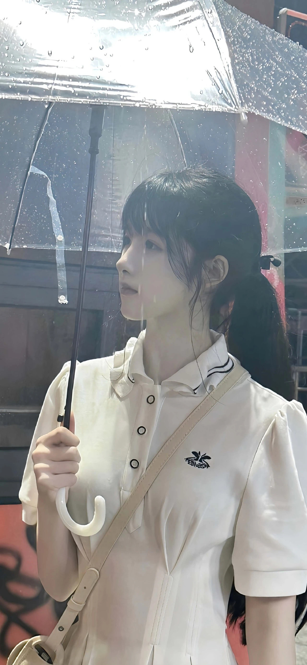 /public/uploads/4b6706c73dbb4d761350d44e/2025/06/16/6871ae37c9e97c8853452acf.jpeg