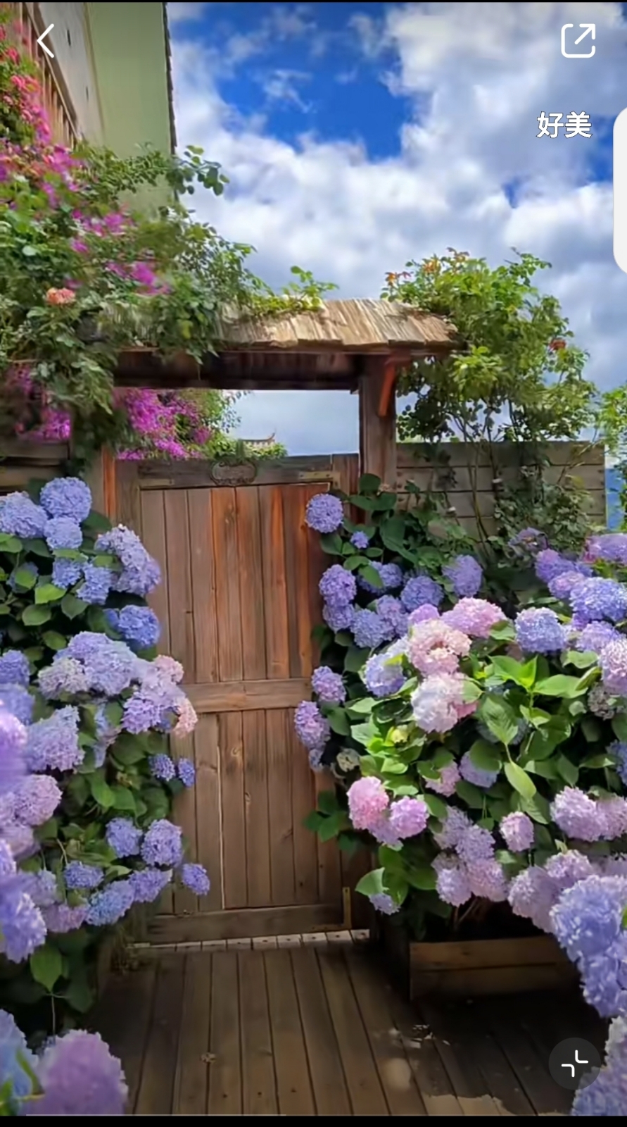 /public/uploads/4b6706c73dbb4d761350d44e/2025/06/17/5bfbeab48a4ea904a7c786ec.jpg