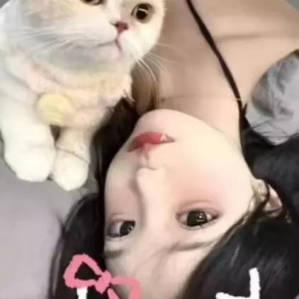 /public/uploads/4b6706c73dbb4d761350d44e/2025/06/18/cc89cc87ddbd409e4e768f59.jpg