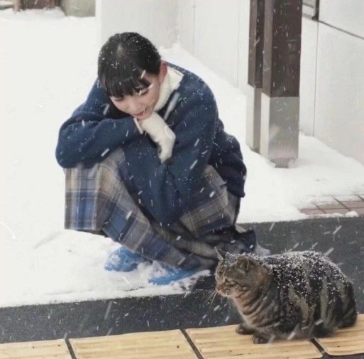 /public/uploads/4b6706c73dbb4d761350d44e/2025/06/19/241a429d33d445f2d16dc5de.jpeg