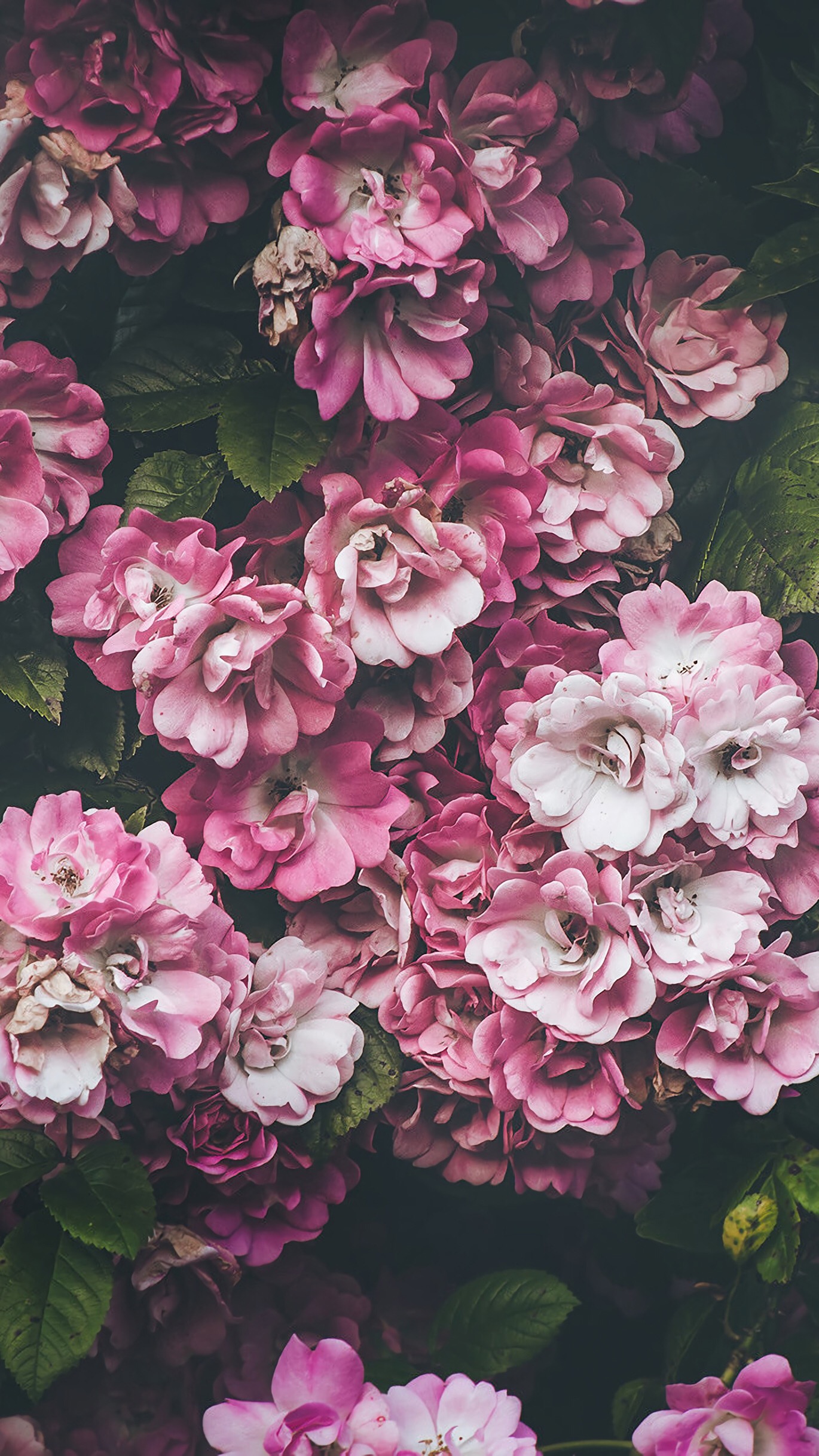 /public/uploads/4b6706c73dbb4d761350d44e/2025/06/19/7f7809dd85ac88eaff9e1394.jpg