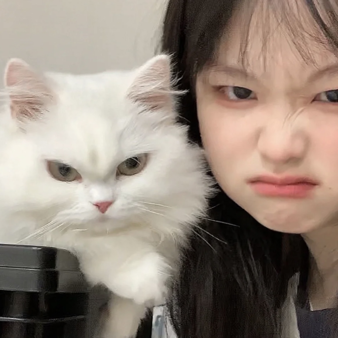 /public/uploads/4b6706c73dbb4d761350d44e/2025/06/19/d66b413c12f88ce65a816f6a.jpeg