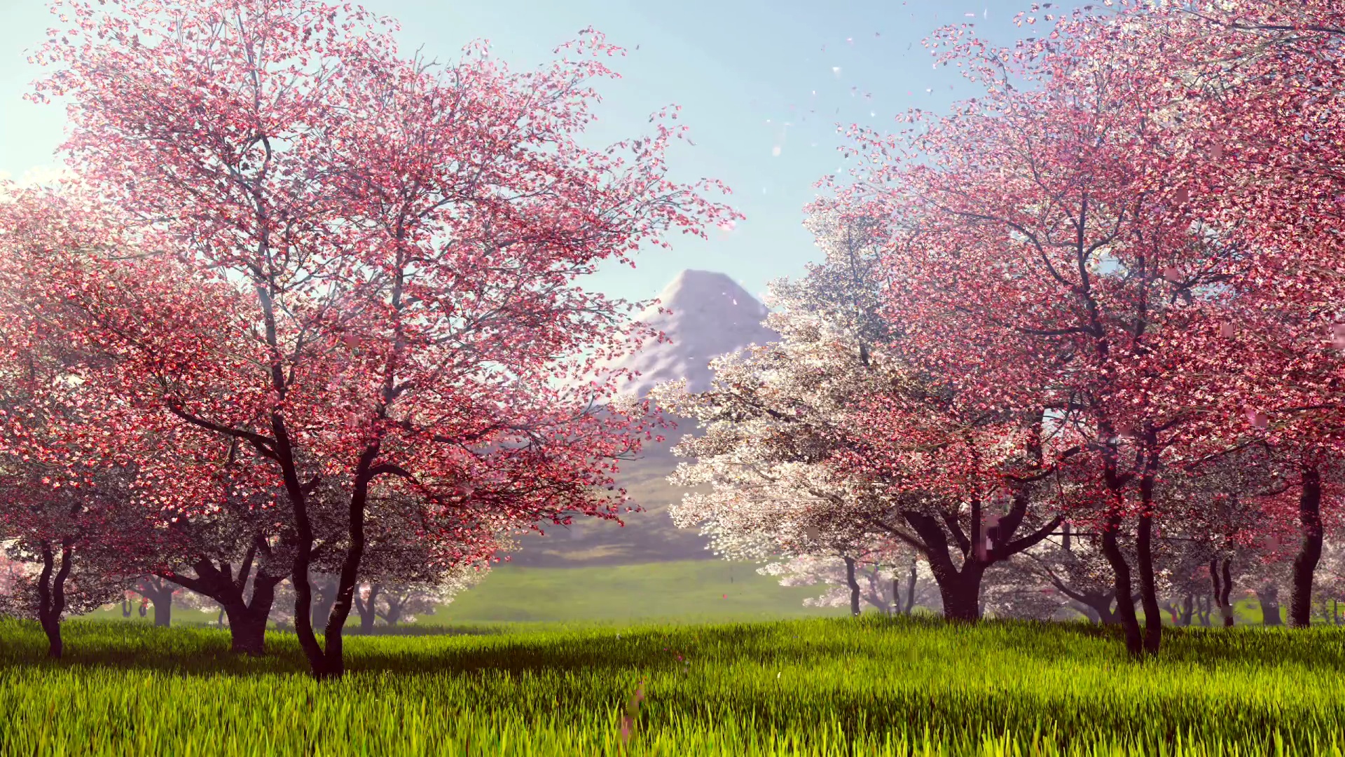 /public/uploads/4b6706c73dbb4d761350d44e/2025/06/20/b12a59e7f30e6f1d90482031.jpg