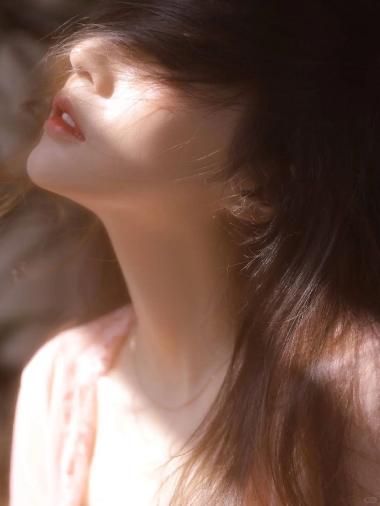 /public/uploads/4b6706c73dbb4d761350d44e/2025/06/21/61157ce61c803846c705ae09.jpg