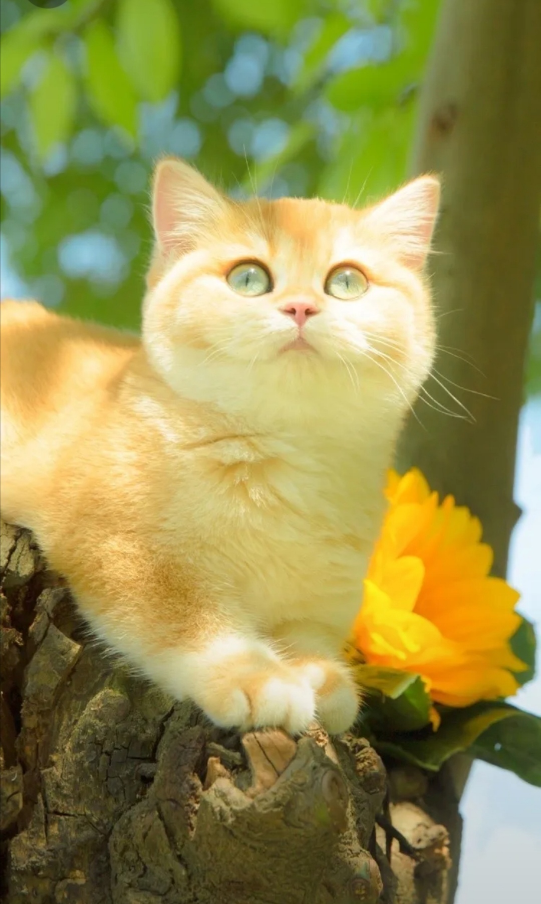 /public/uploads/4b6706c73dbb4d761350d44e/2025/06/21/b662f46359f764808b982baa.jpg
