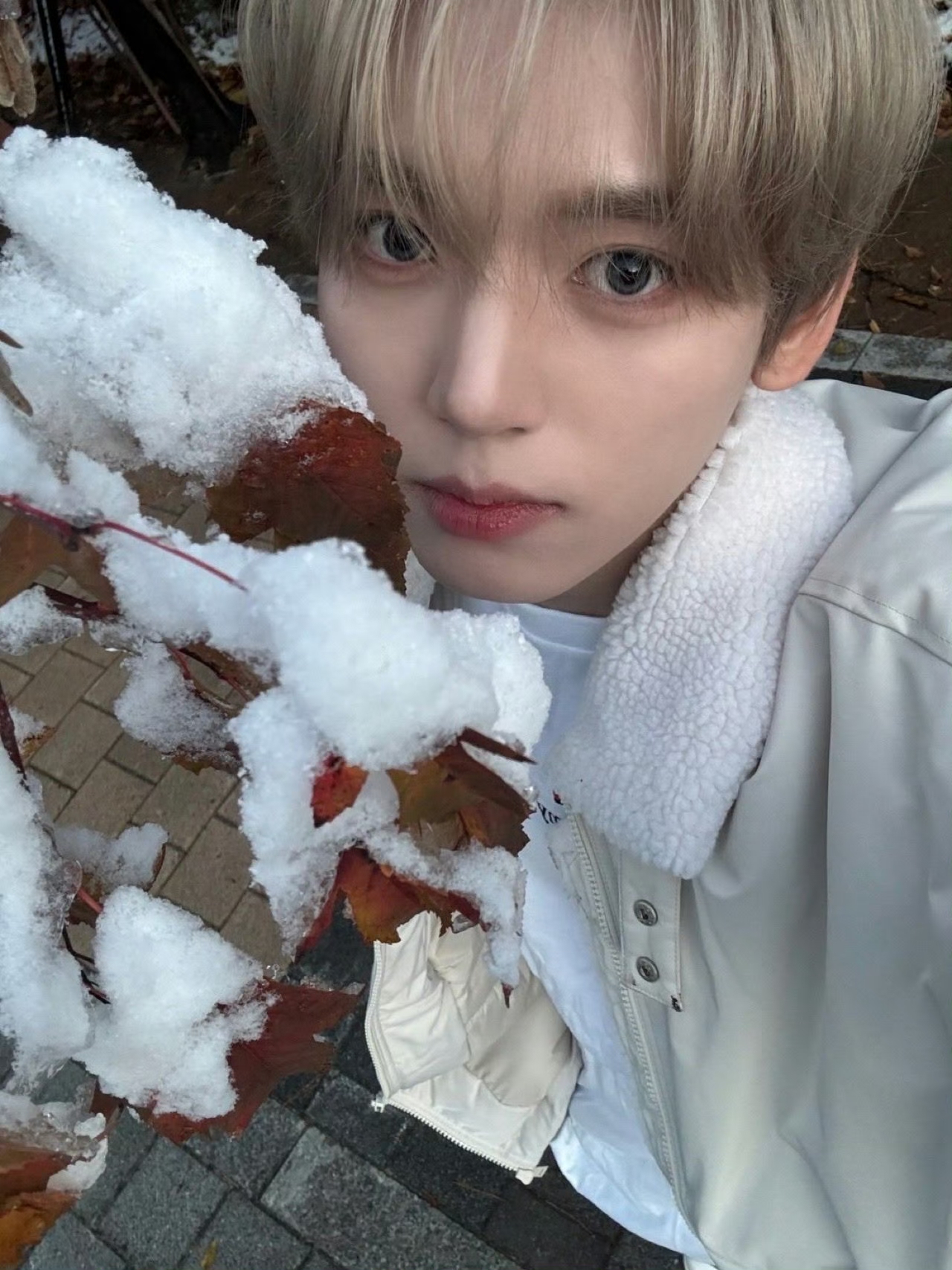 /public/uploads/4b6706c73dbb4d761350d44e/2025/06/22/ab819c38b047f259fa9bfb65.jpg